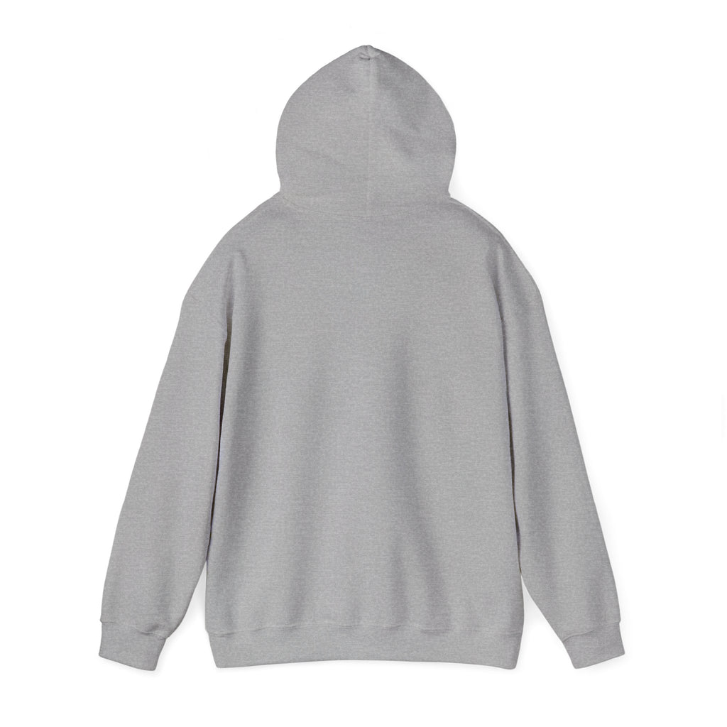 Faith Family Freedom Hoodie | patriotic, faith-based, vintage Americana